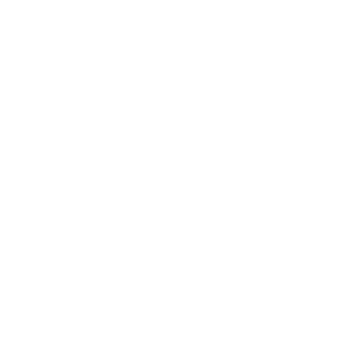 Our Accounting Services for Nevada Small Businesses