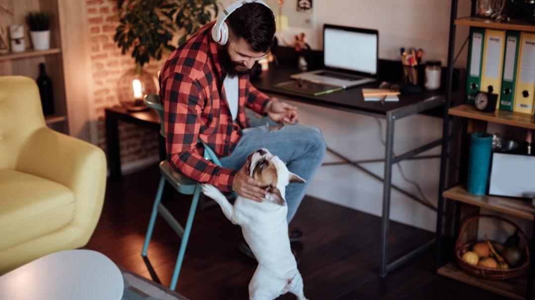 A man in a plaid shirt and headphones sits at a desk, petting a bulldog in a cozy home office setting.